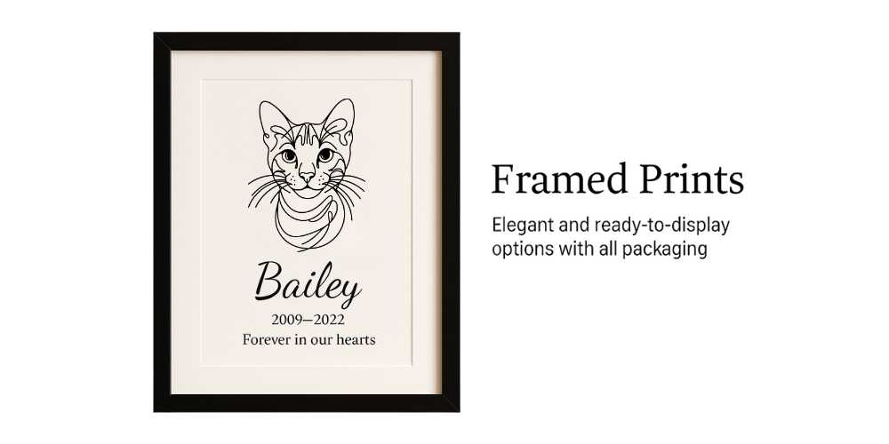 Framed Prints
